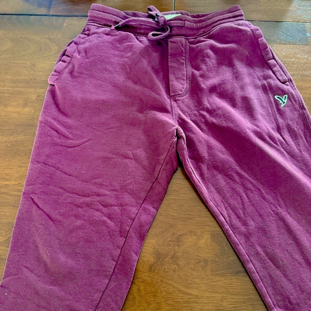 American Eagle Outfitters Men's Burgundy Joggers